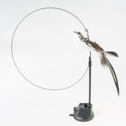 Handfeed Bird/Feather Pet Toys